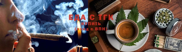 гашик Осинники