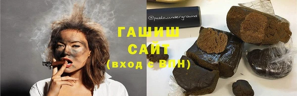 гашик Осинники