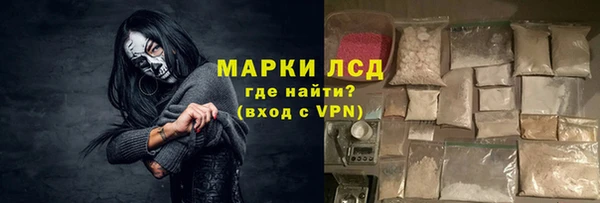 гашик Осинники