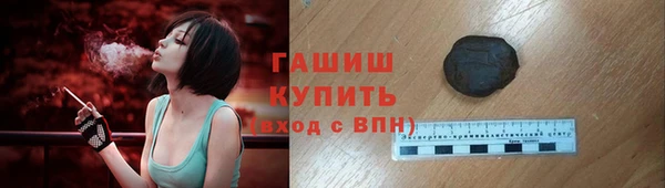 гашик Осинники