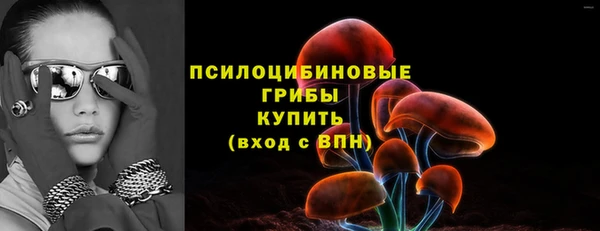 гашик Осинники