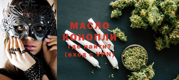 гашик Осинники