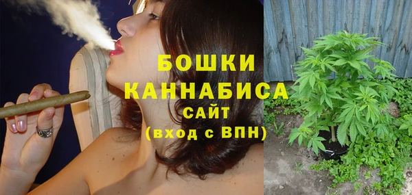 гашик Осинники