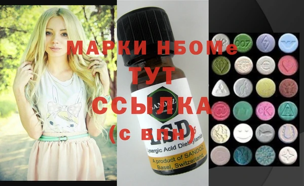 гашик Осинники