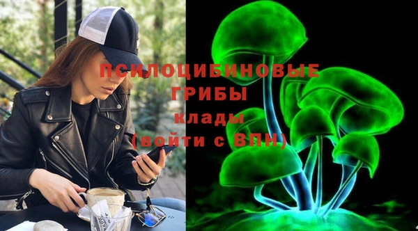 гашик Осинники