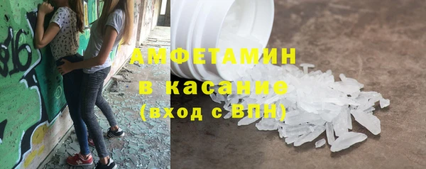 гашик Осинники
