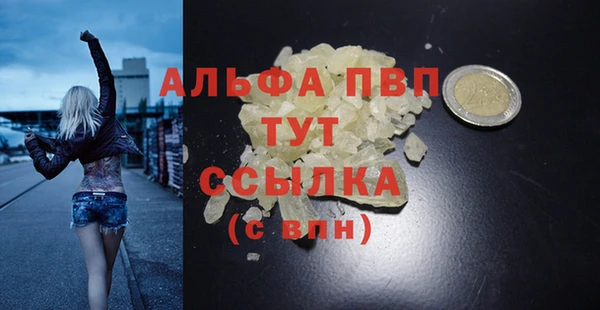 гашик Осинники