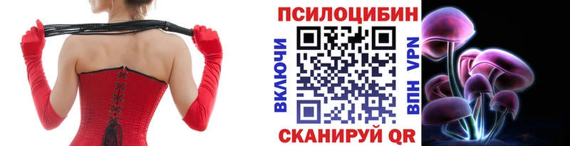 Псилоцибиновые грибы Cubensis  кракен маркетплейс  Новочебоксарск  закладка 