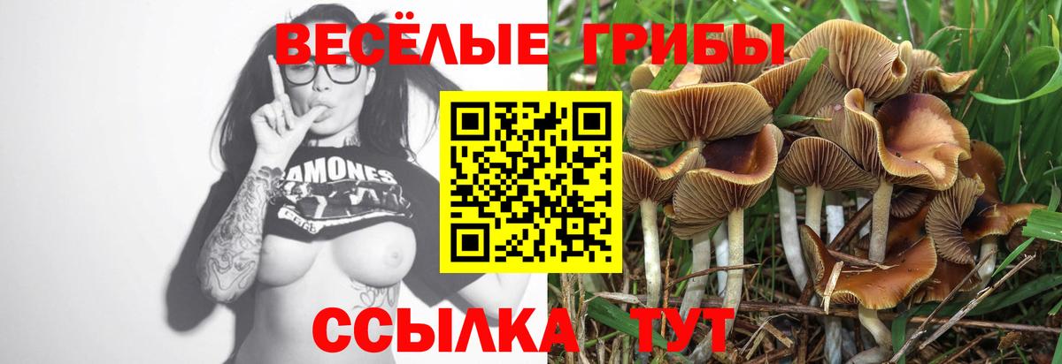 Галлюциногенные грибы мицелий Новочебоксарск